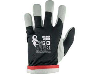 Zimné rukavice CXS TECHNIK WINTER